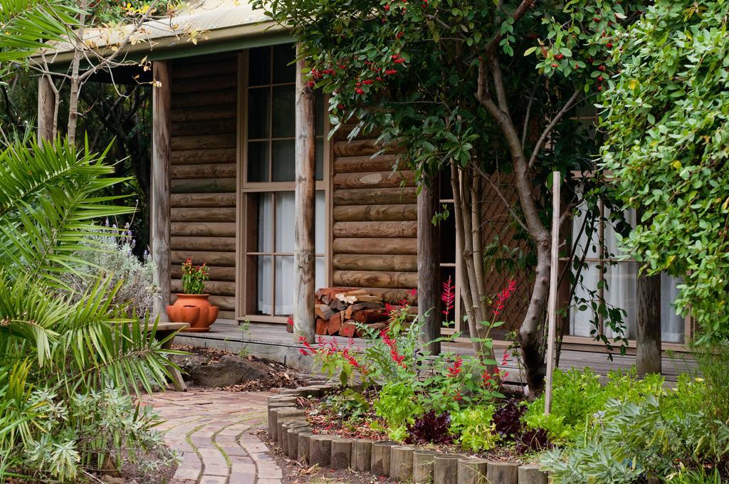 Ti-Tree Village Ocean Grove Dış mekan fotoğraf