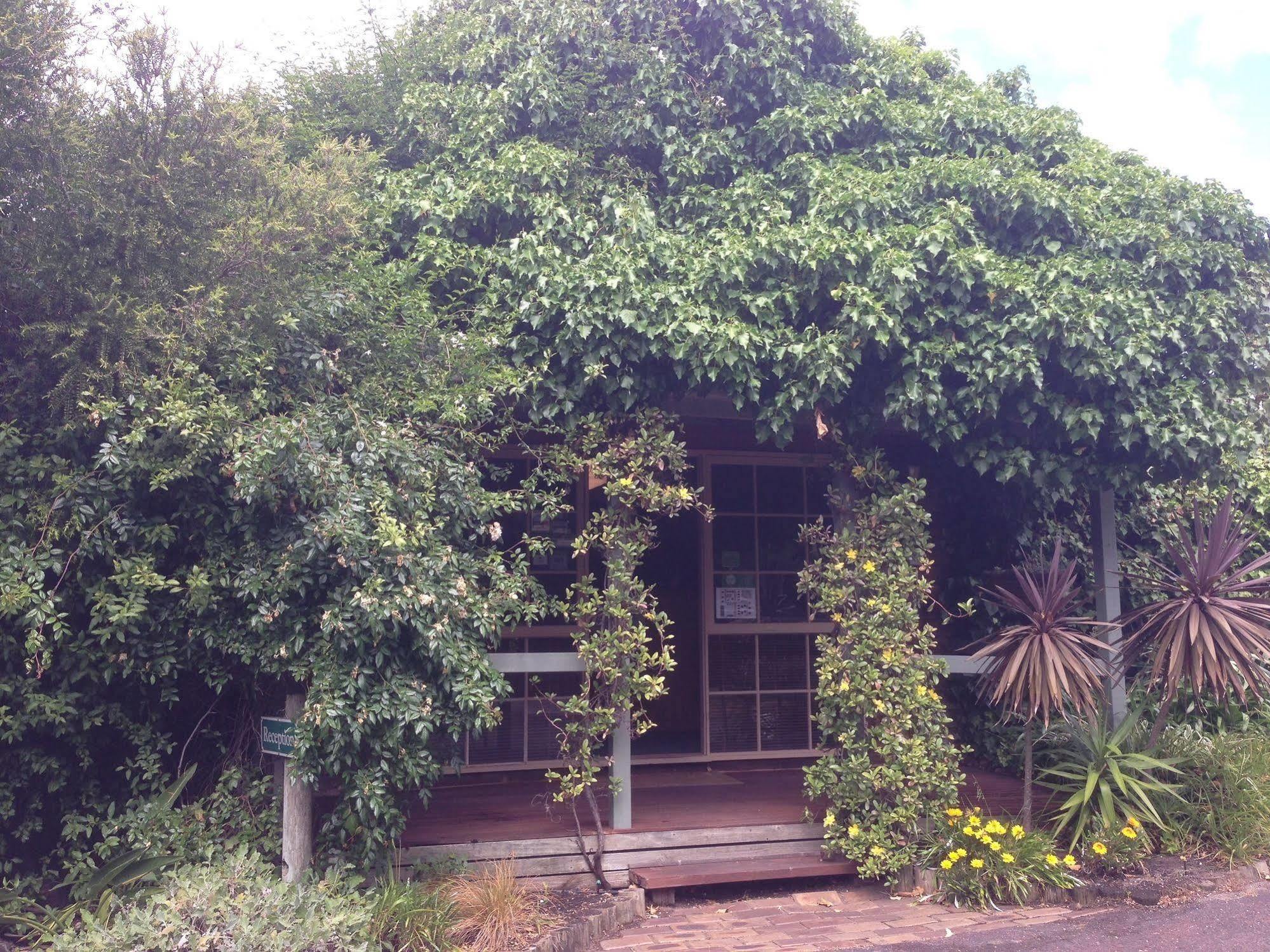 Ti-Tree Village Ocean Grove Dış mekan fotoğraf